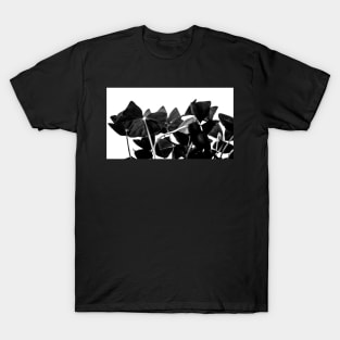 Oxalis T-Shirt